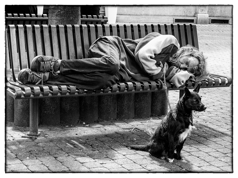 683 - DORMIR - MESTDAGH PIERRE - belgium.jpg